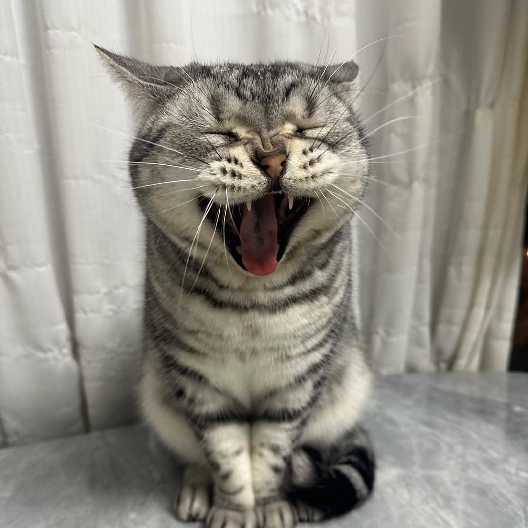 🌻陆十亿。