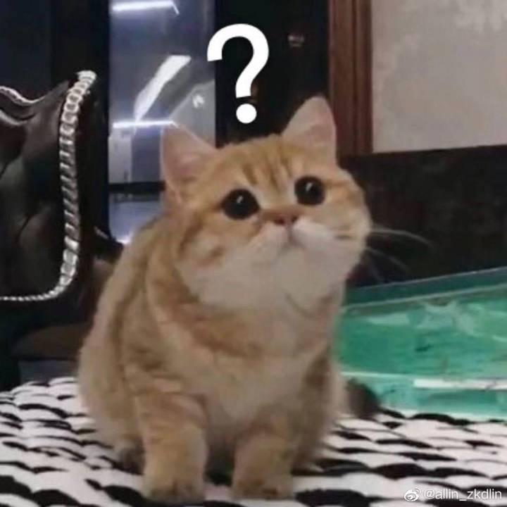 今天做梦了