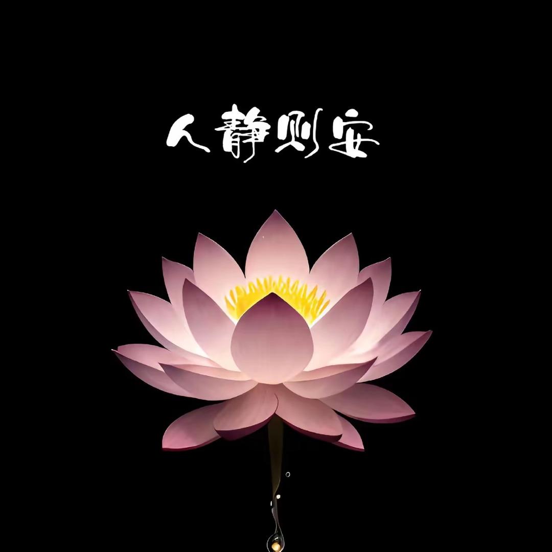 静安公主*^_^*