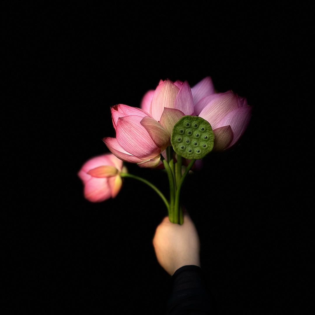 蒋敏