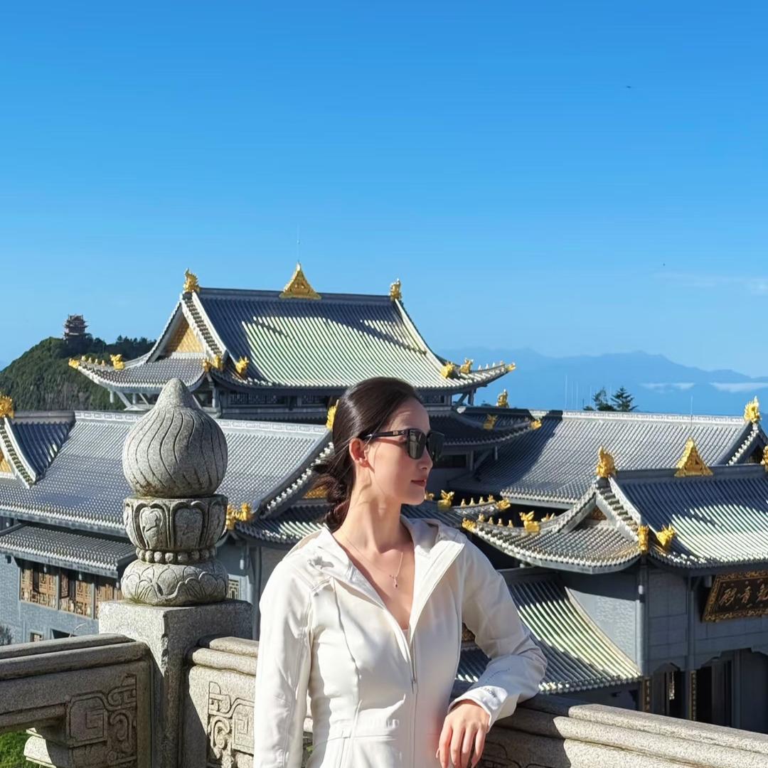 洋洋咨询