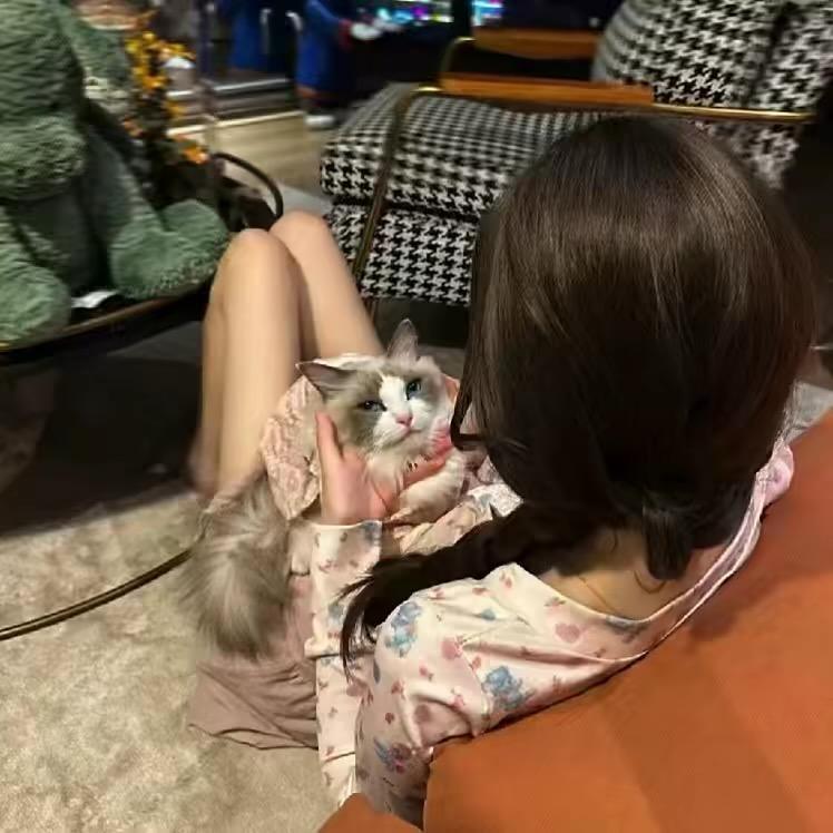 小娇妻