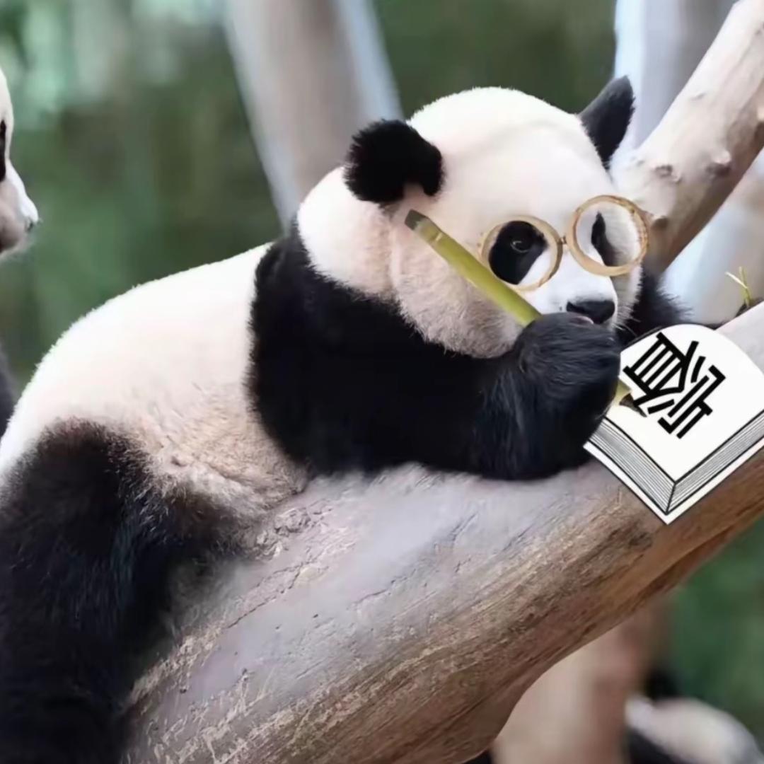 小甜睿宝，