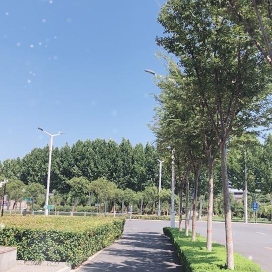 林泽宏迪燃优品小铺