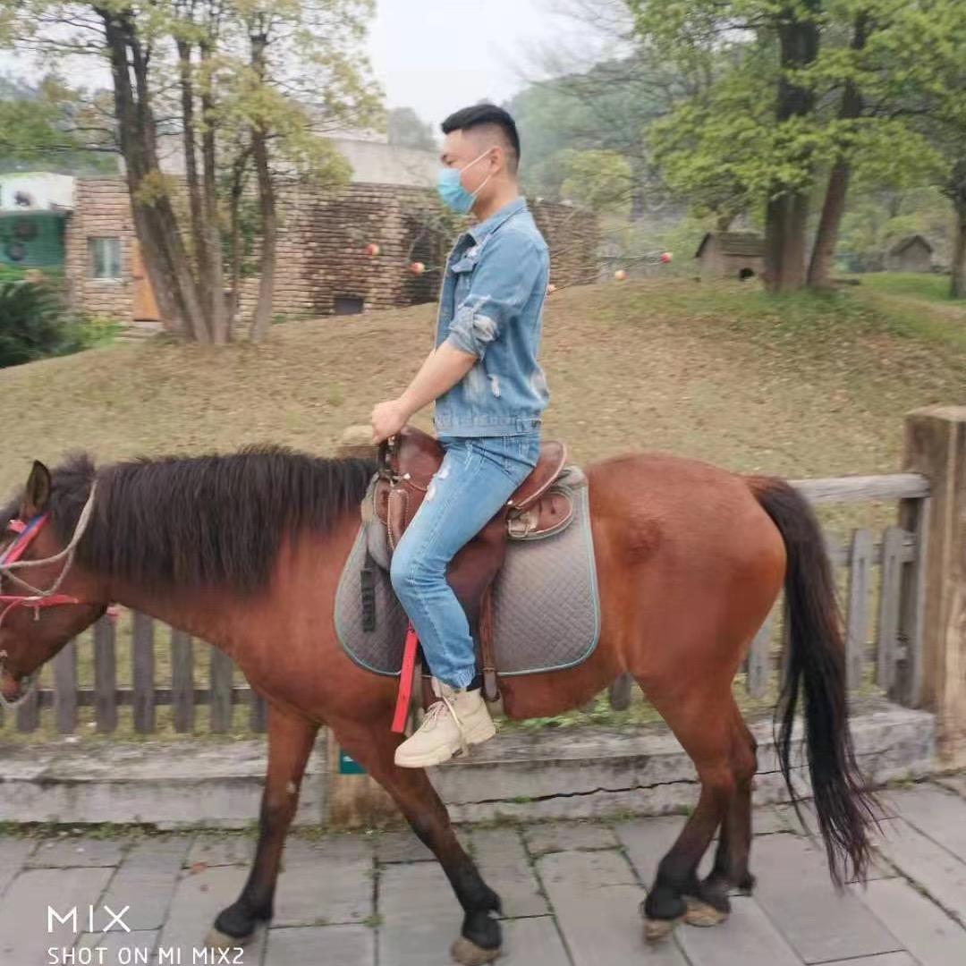 晨