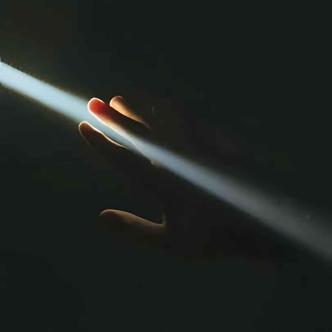 冠之以酒观析人性