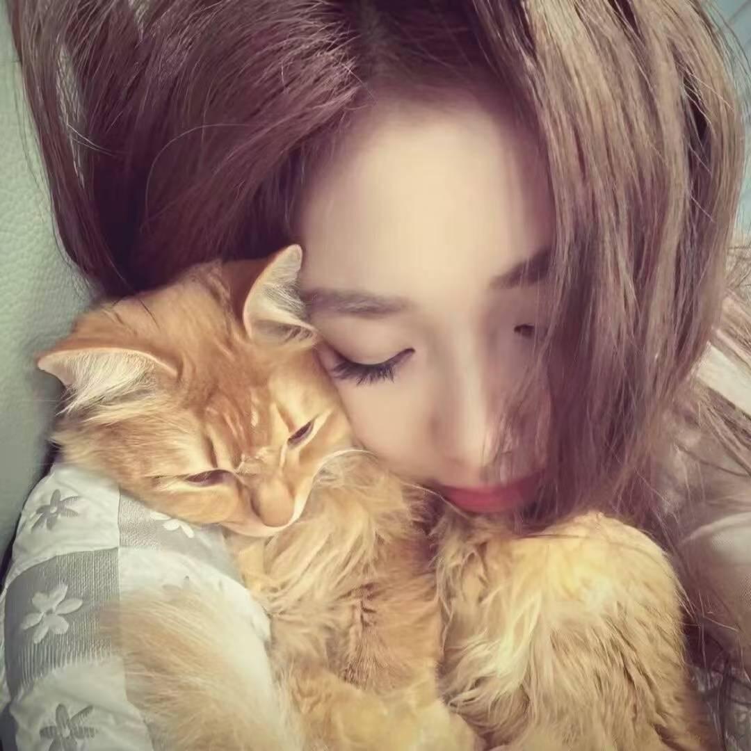 睡一觉💤