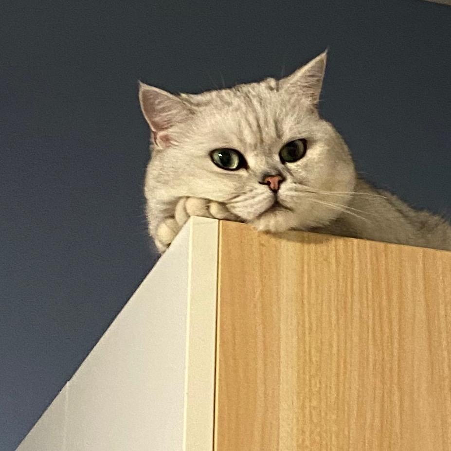 翠花有什么坏心思