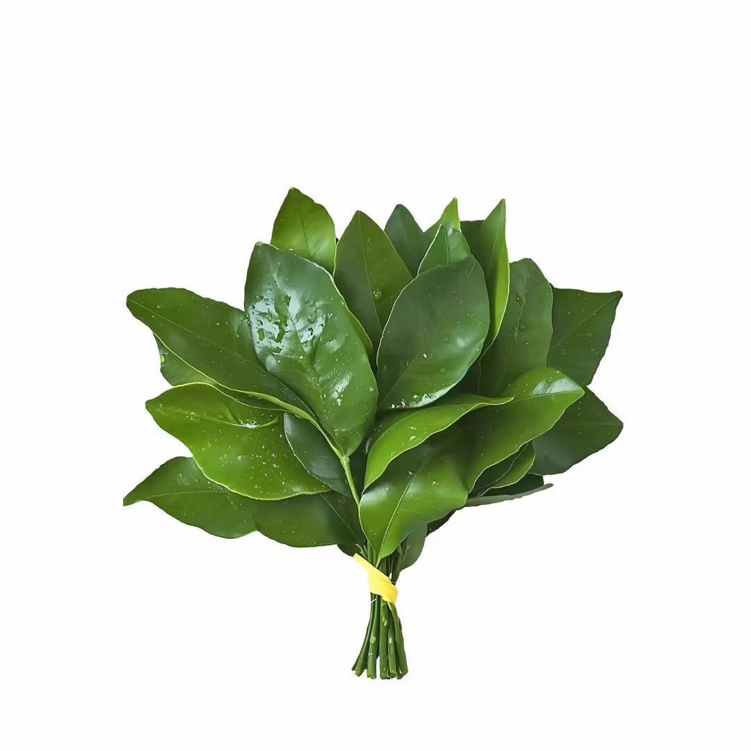 芯
