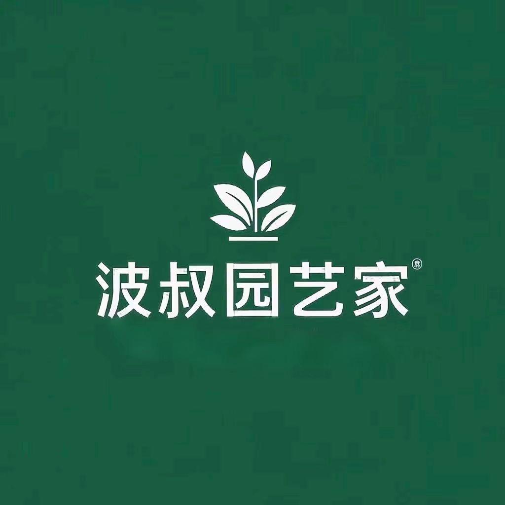 波叔的花园