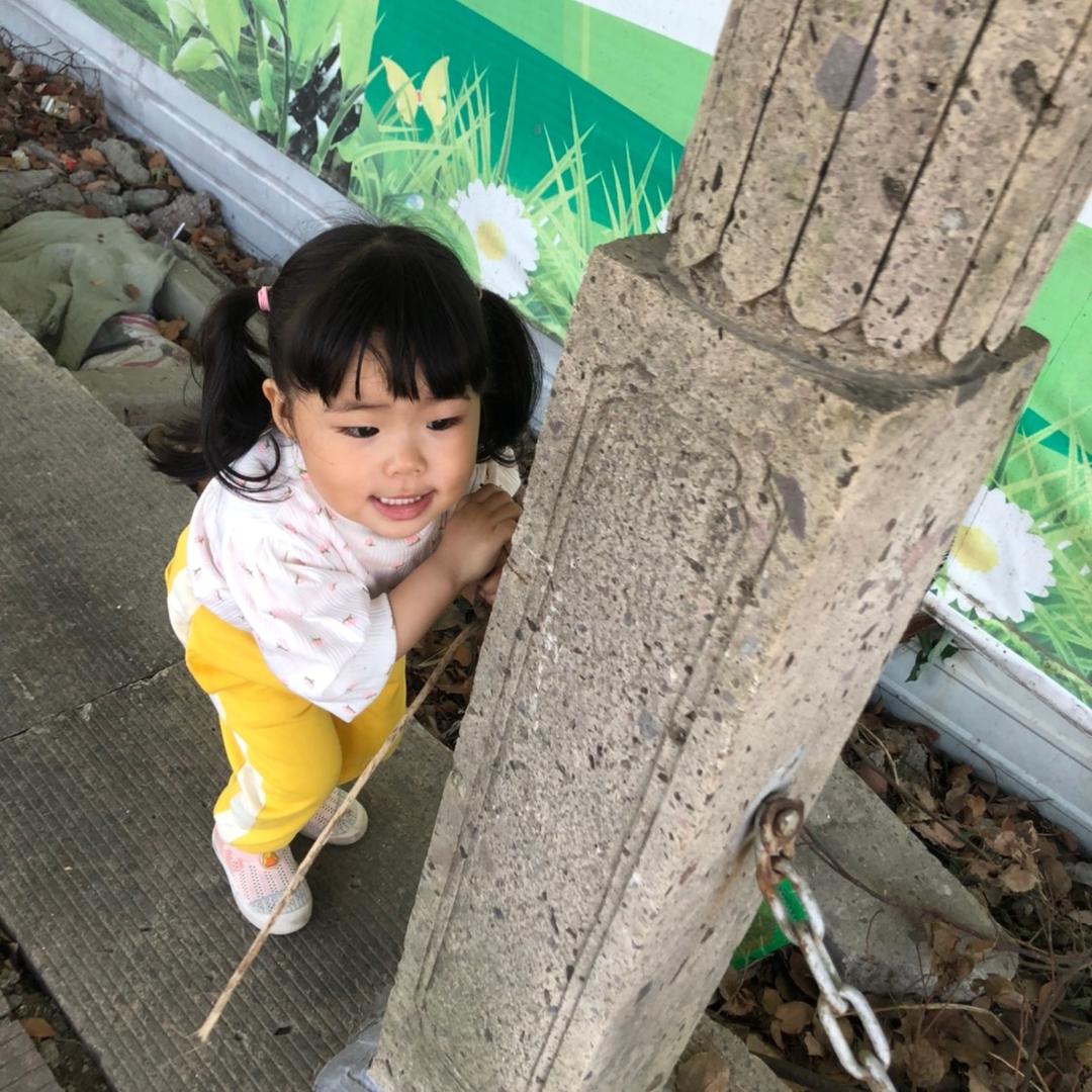 杰然不彤