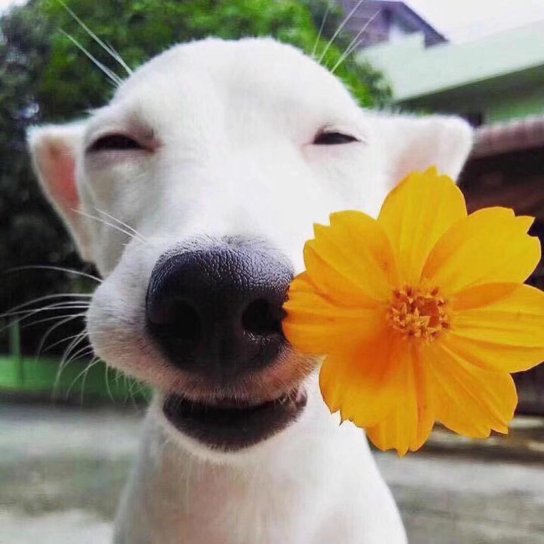 不知十一