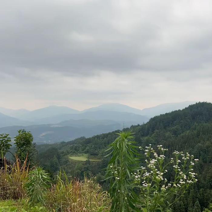 小花