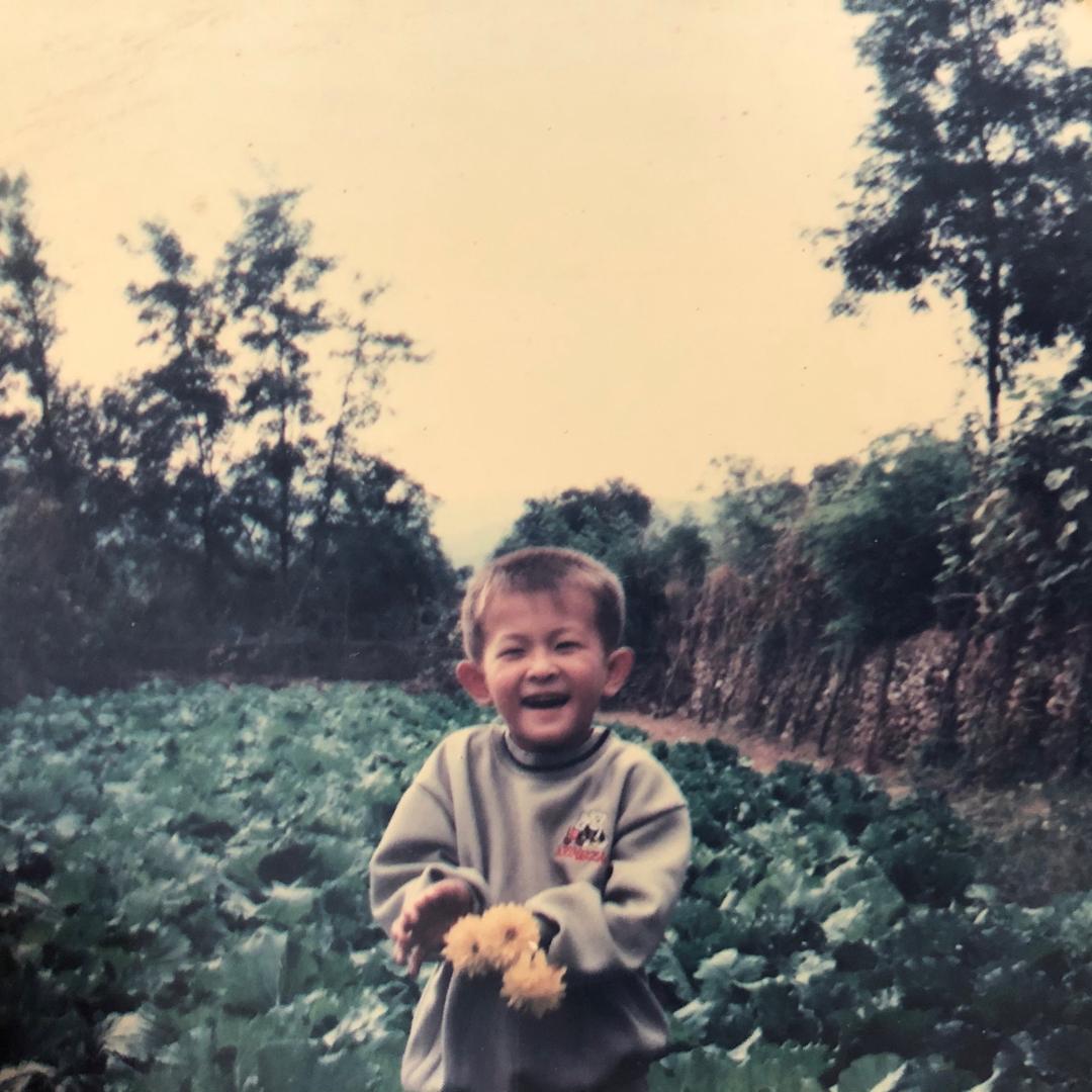 单秉泉东港沣盈果蔬优品店