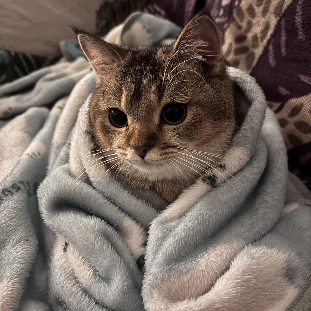 小叶同学👩🏻‍🎓