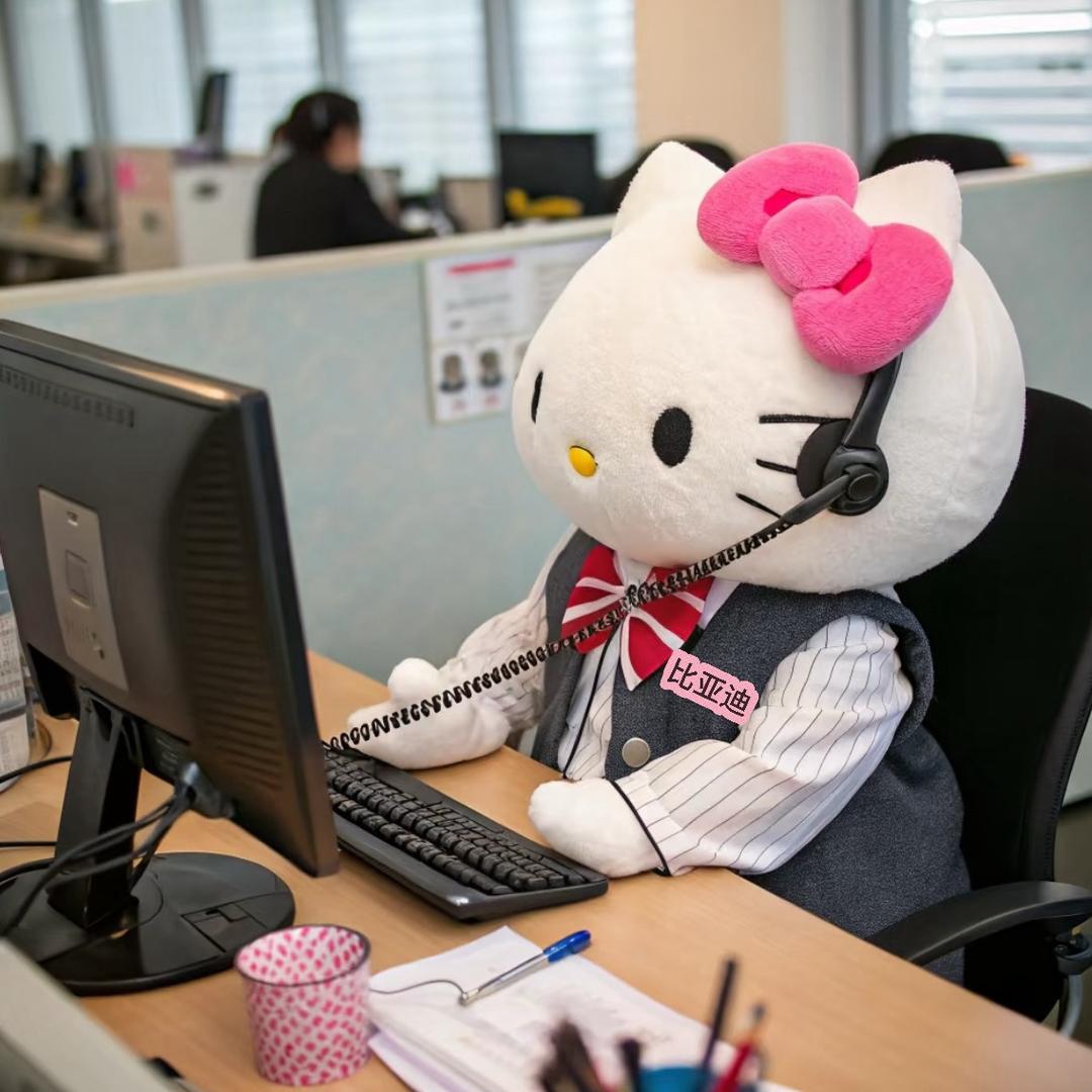 景县比亚迪国昂王颖