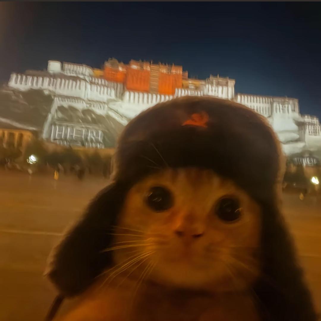 第九大洋