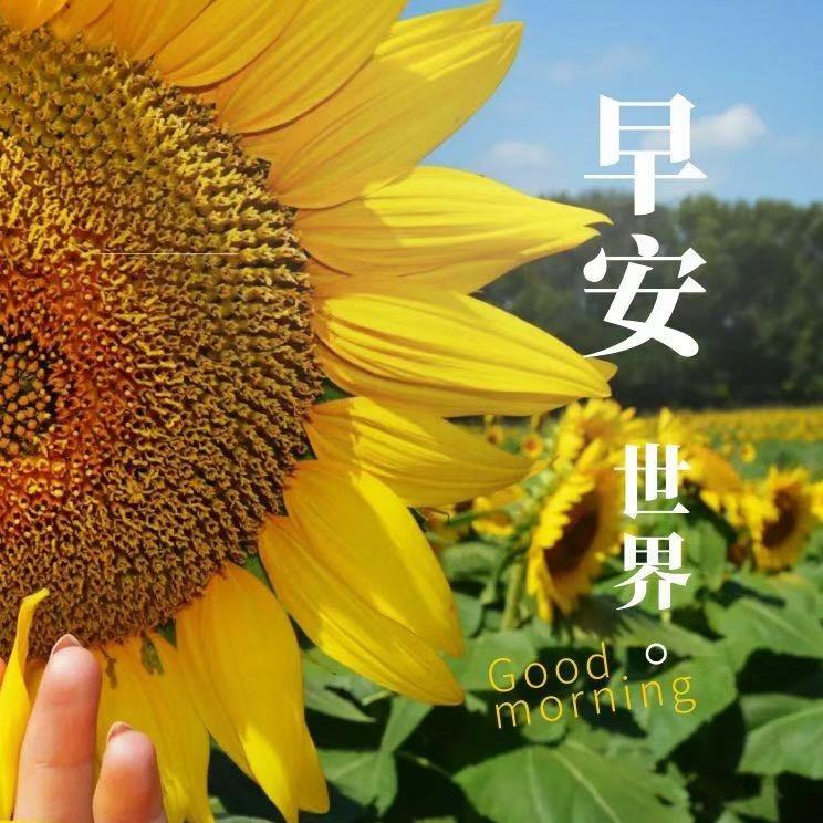 默默无闻