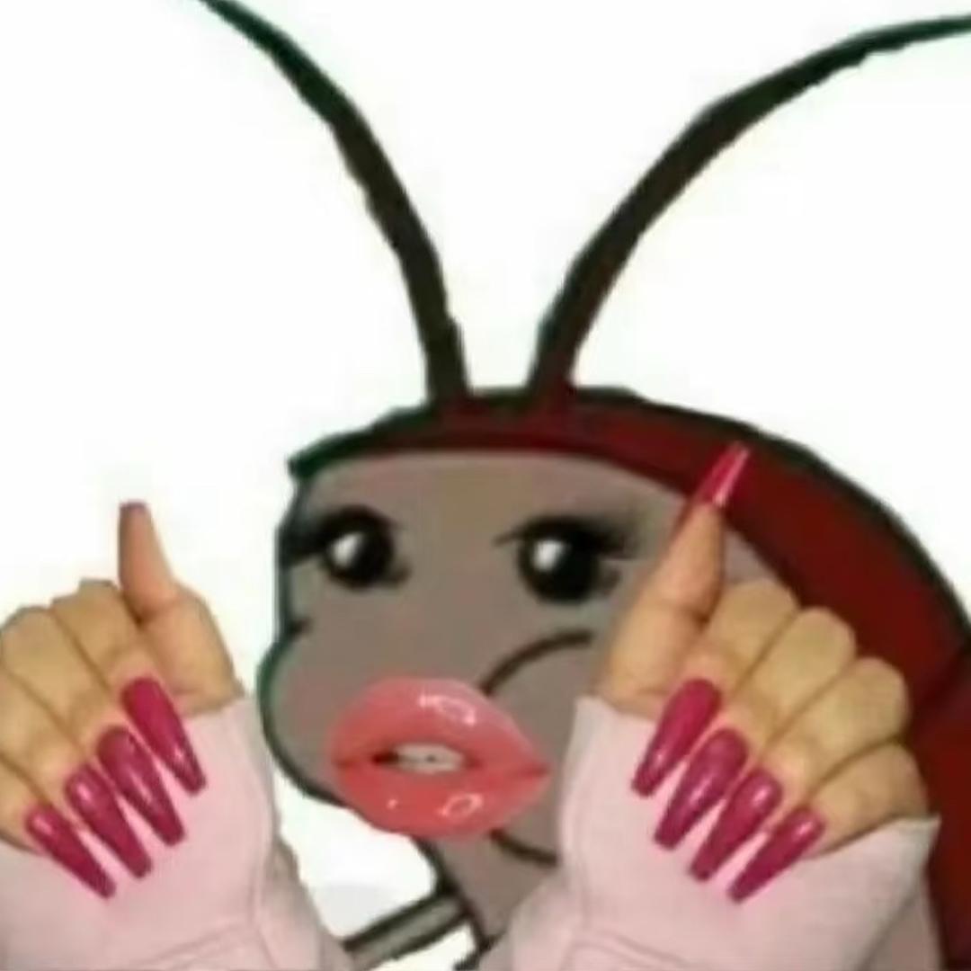 性感美丽大蟑螂