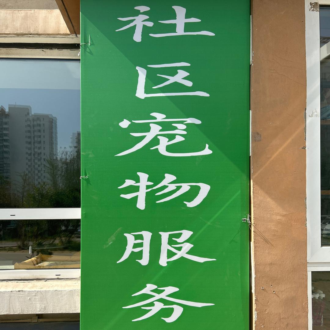 社区宠物服务～壮壮