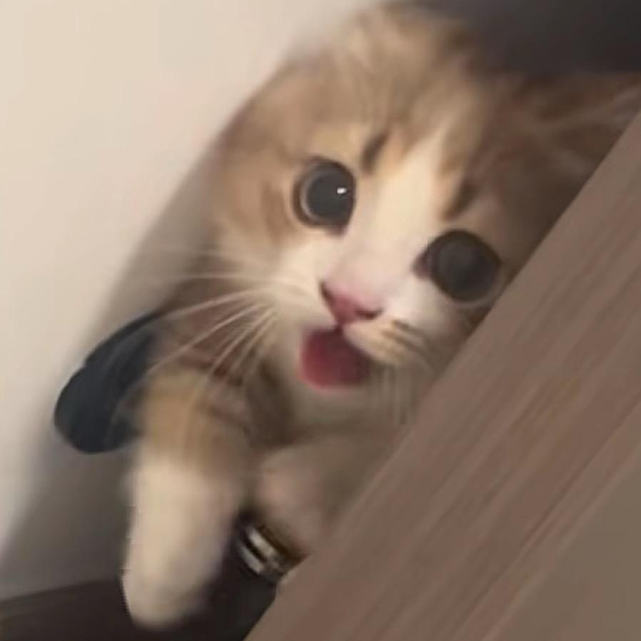 郭小允