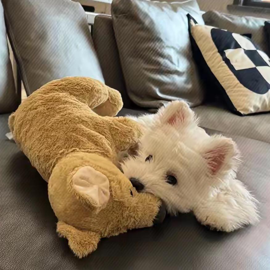 𝓑𝓪𝓫𝔂•Xinn_82