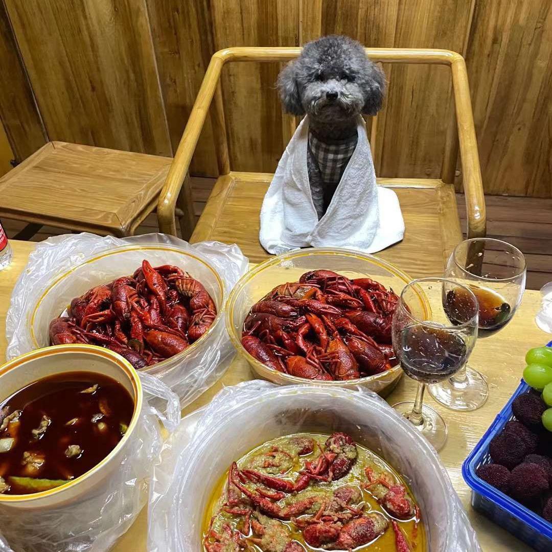 别宠我
