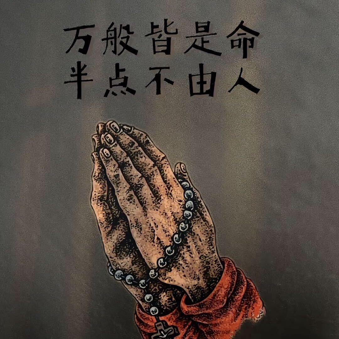命中注定i💦