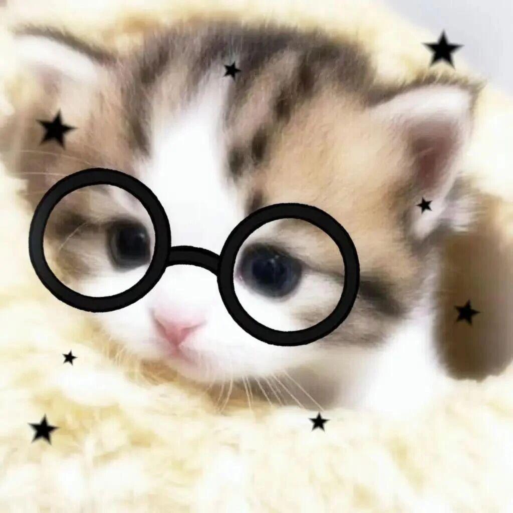 能拉屎就是好屁股