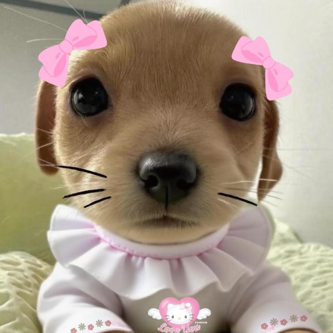 啊姿姿姿_