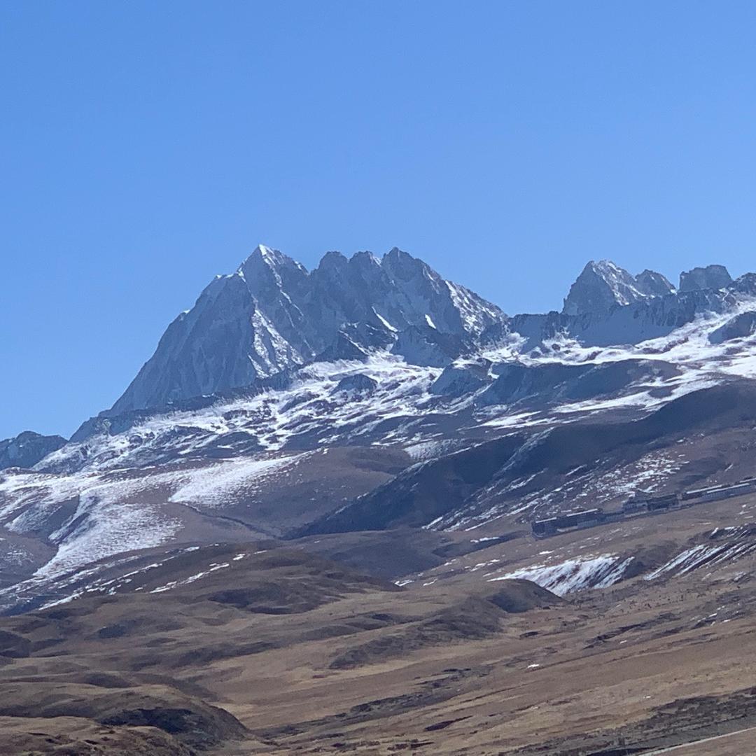 彭山柳工专业户王伟
