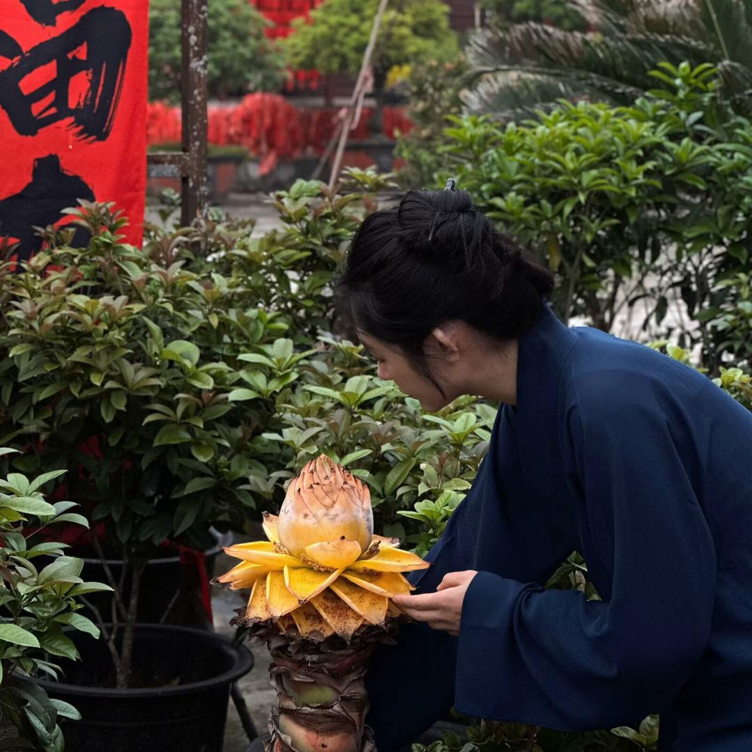 持安