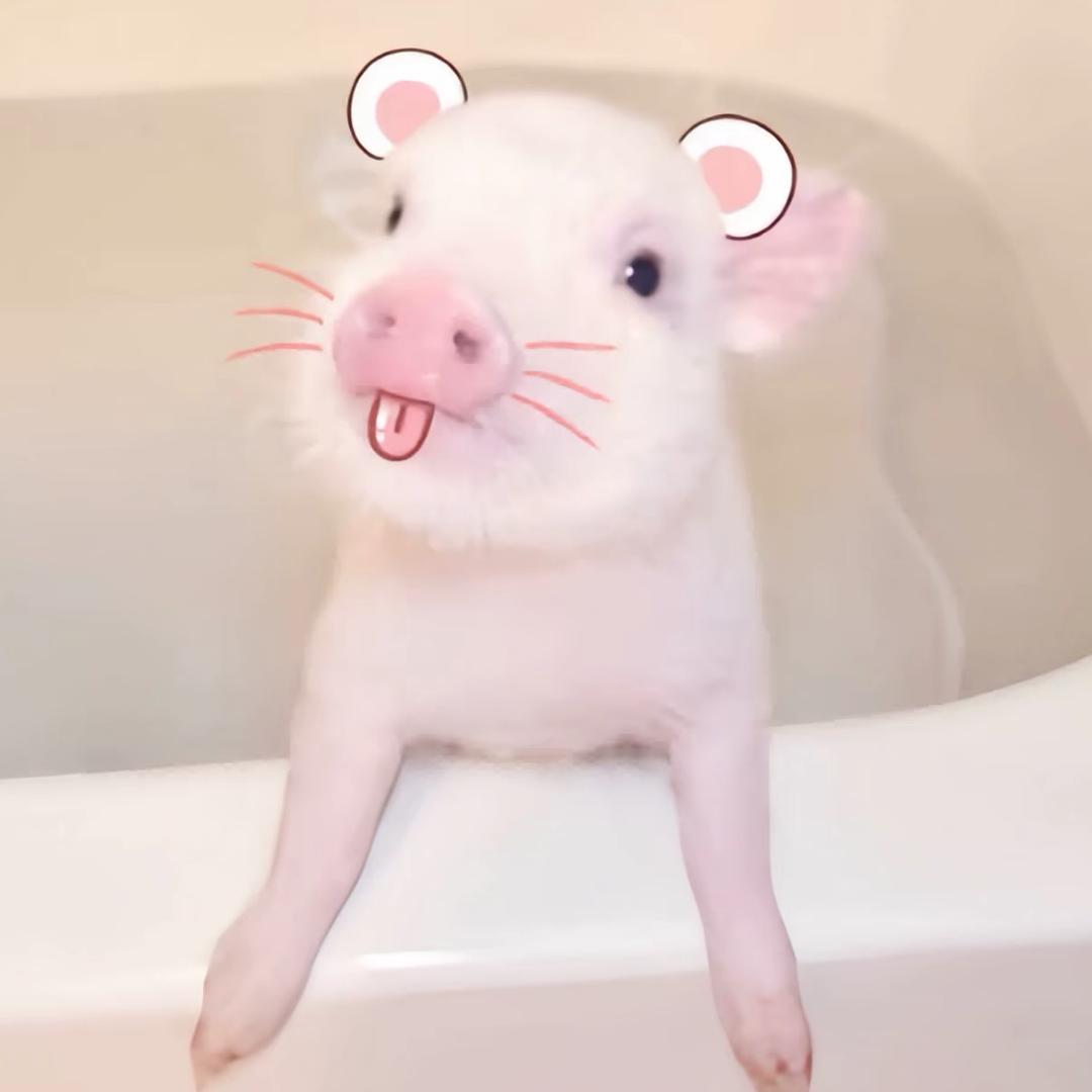臭臭