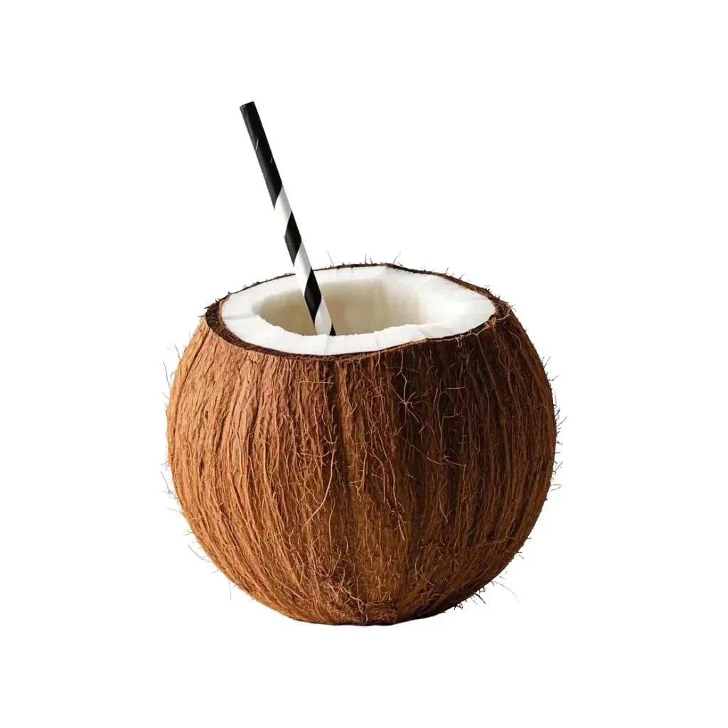 椰子壳🥥