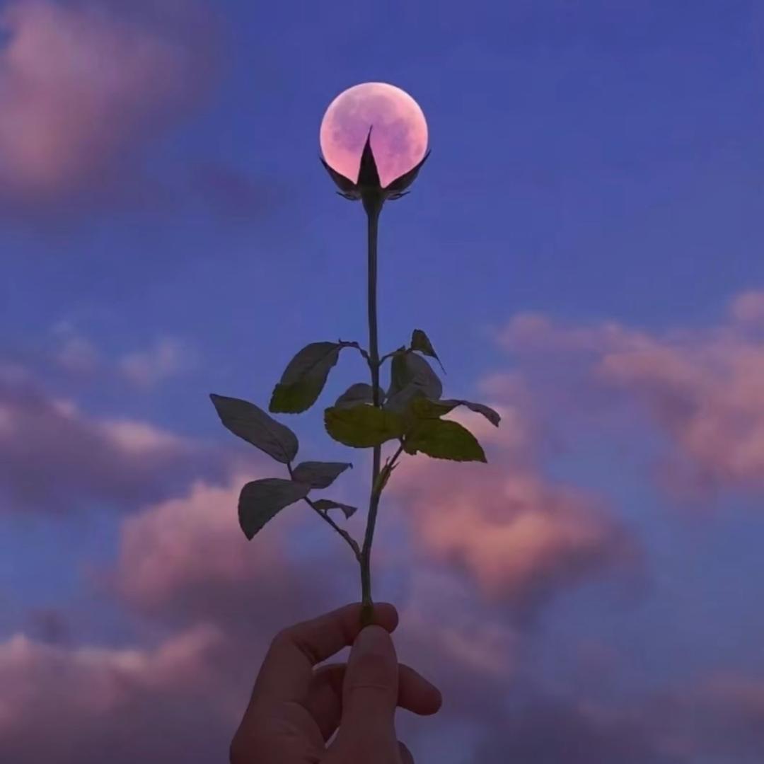 啥事都不想管女士