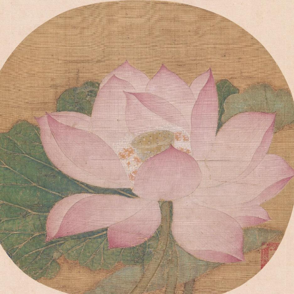 王小鸥