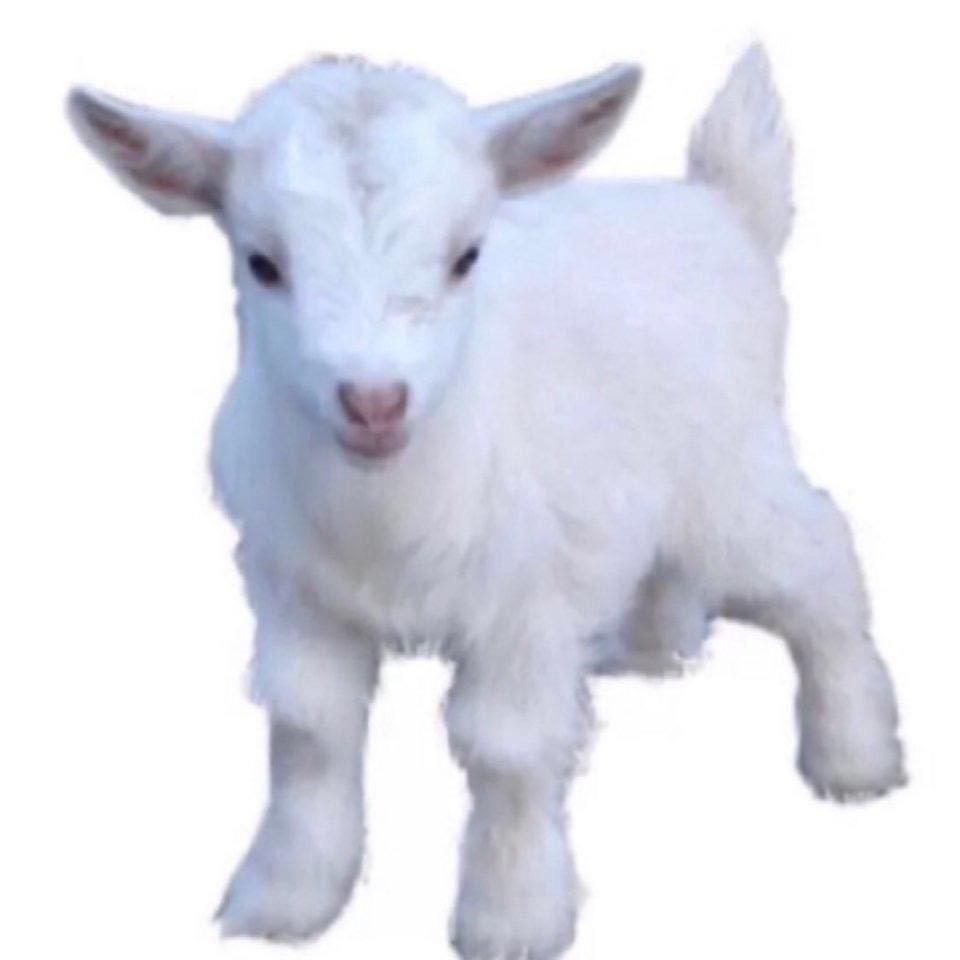 徐州泓点文化传媒有限公司