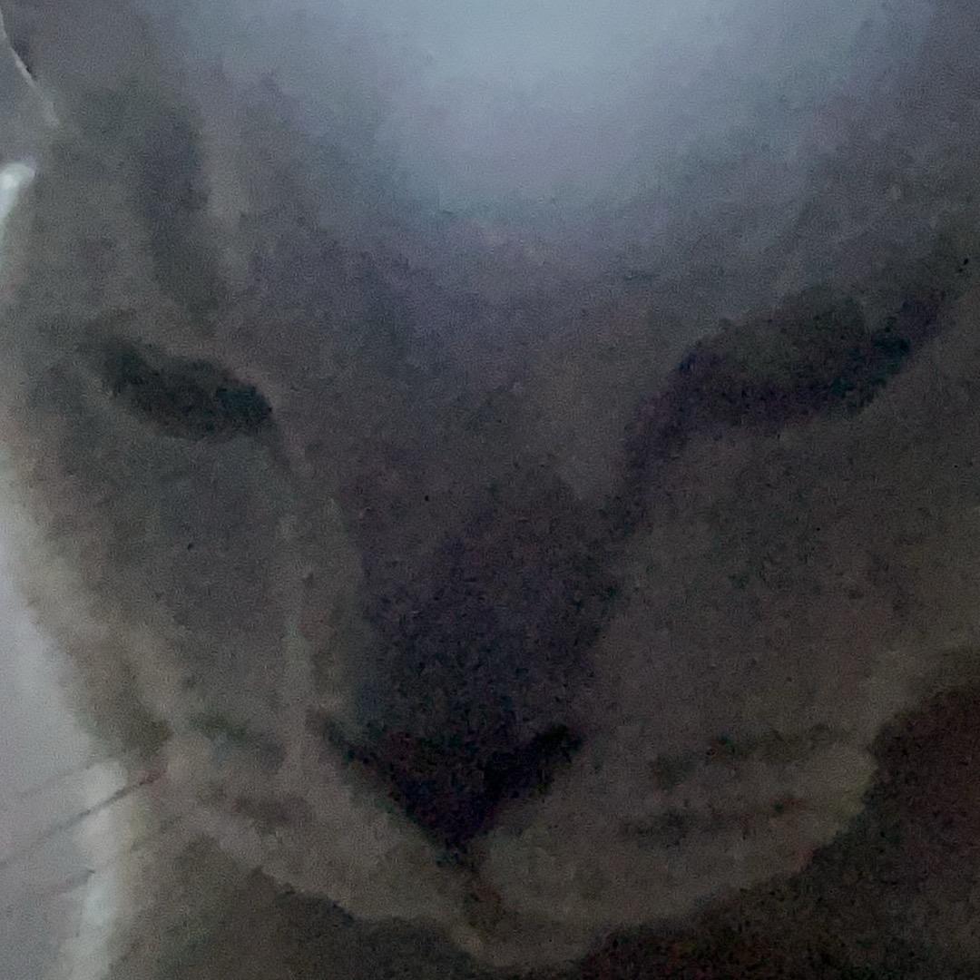 SeeU