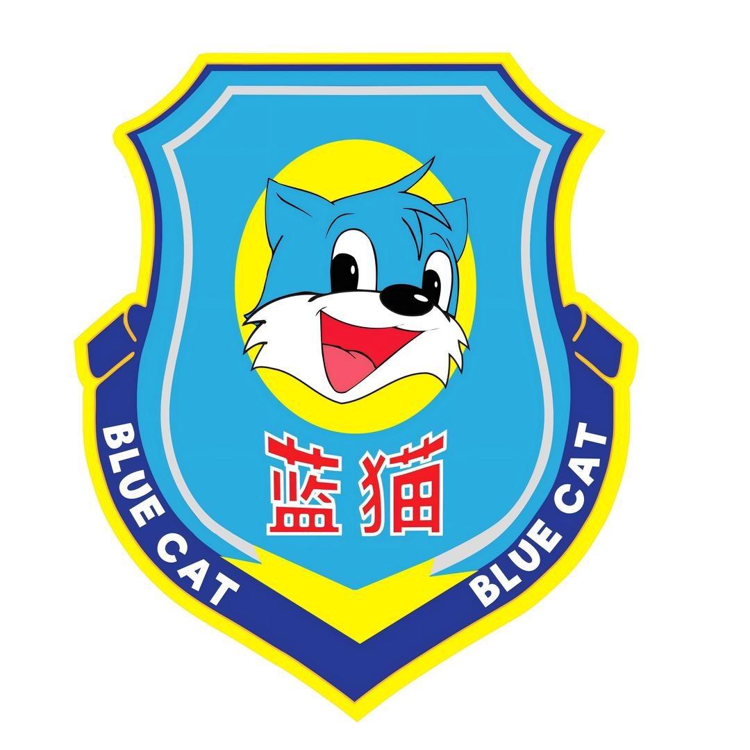上海蓝猫山地车工厂三店直发