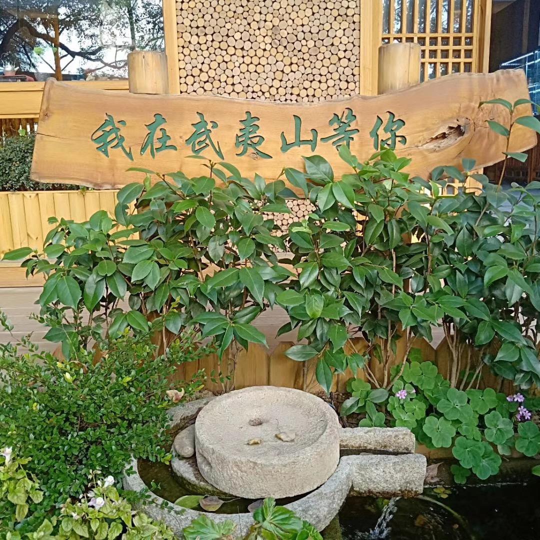 武夷山市忠剑茶行