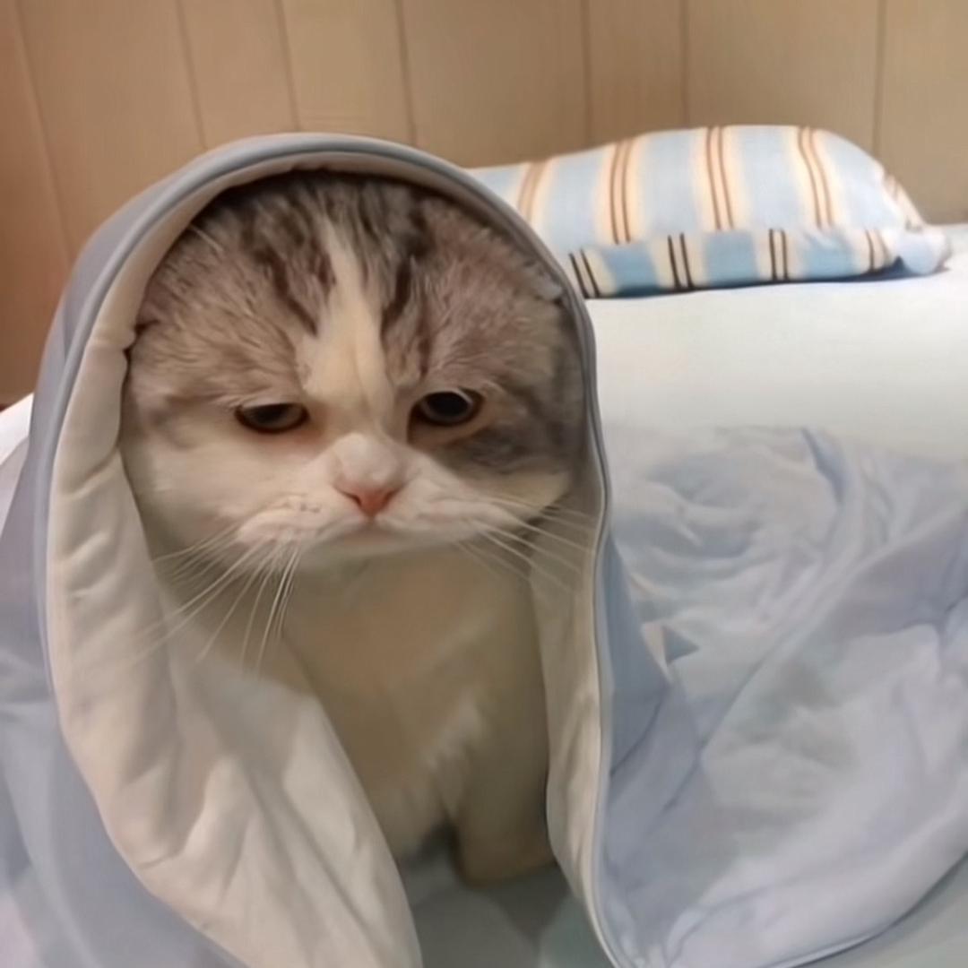 我也没
