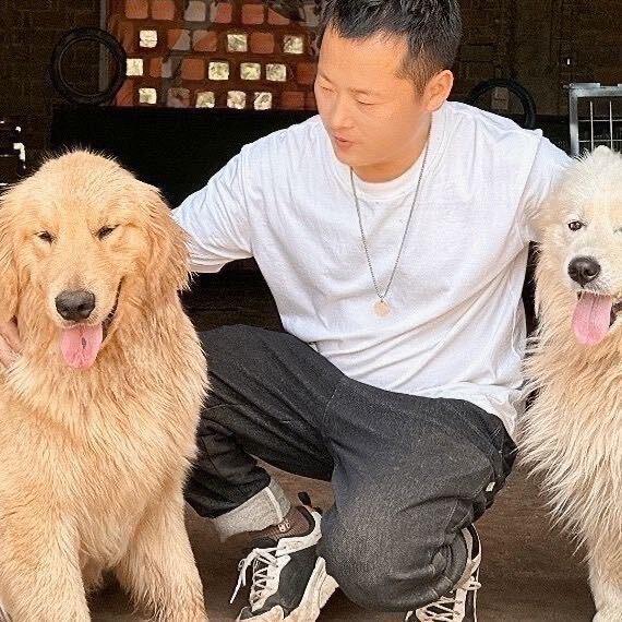 杨哥爱狗宝宝