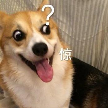 按时吃饭