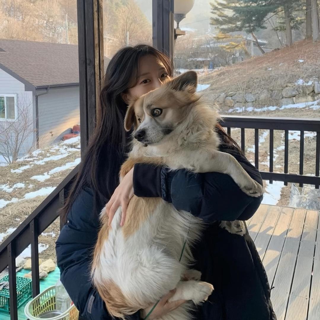 不爱吃香菜的肉丝.