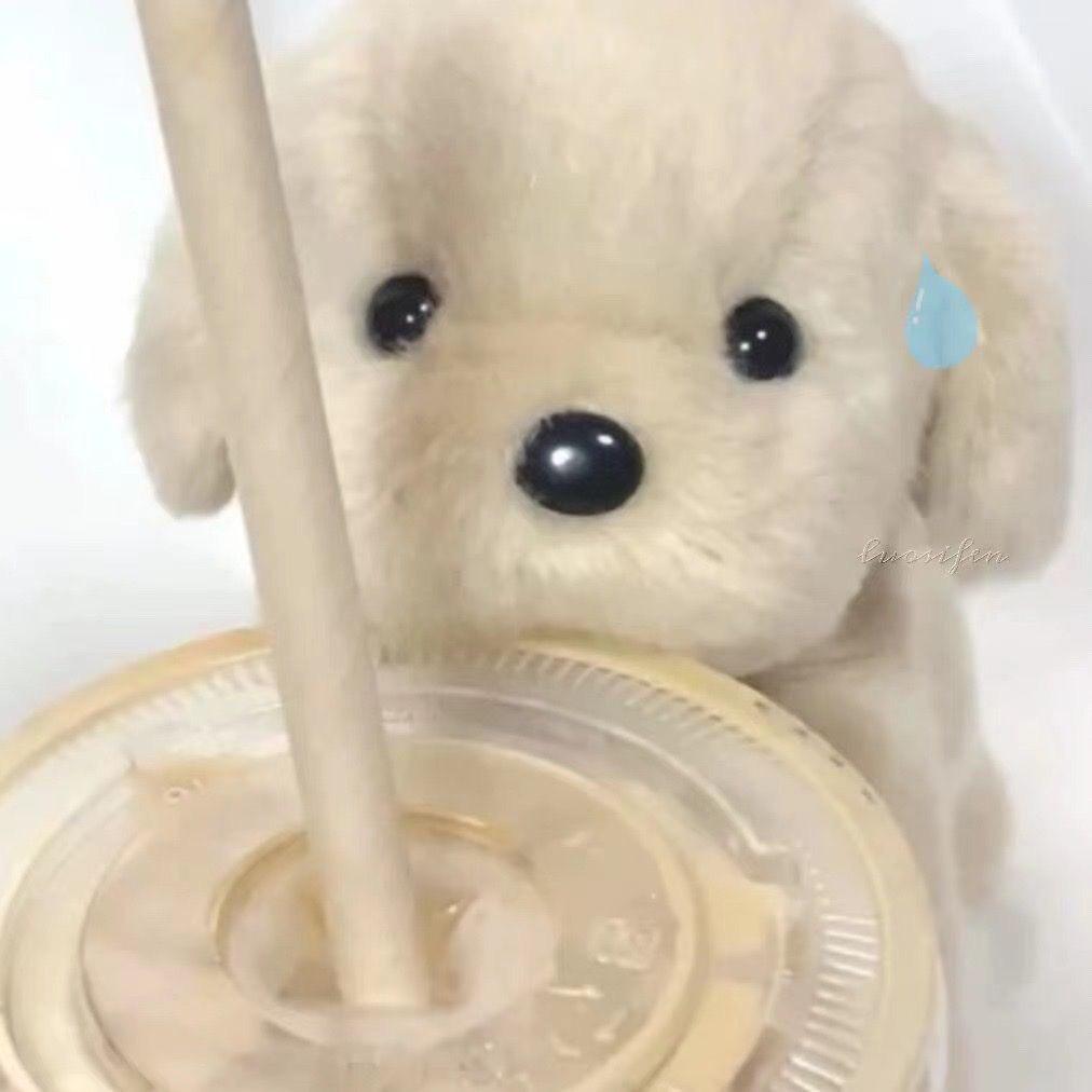 𝗞𝗶𝘁𝘁𝘆𝗹𝗶𝗶𝗼🍨