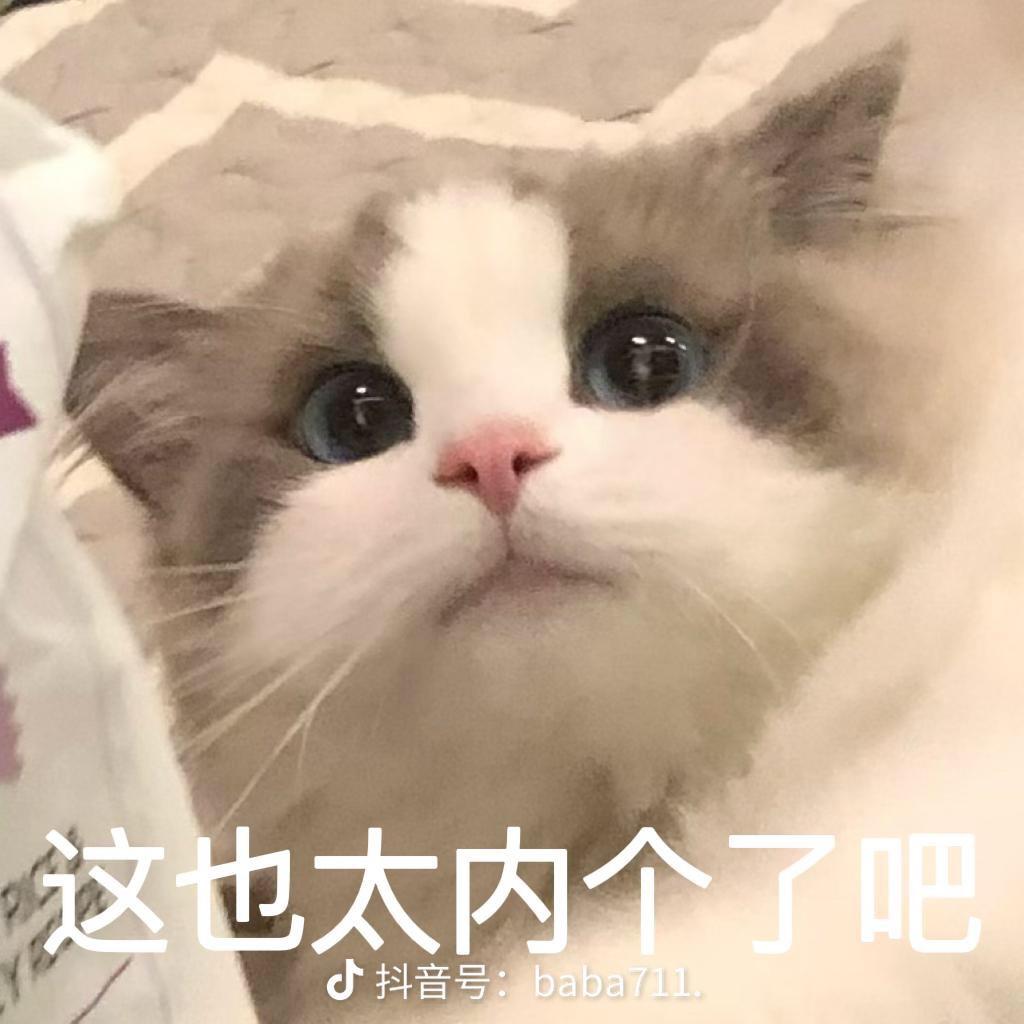 匿蝶追影者