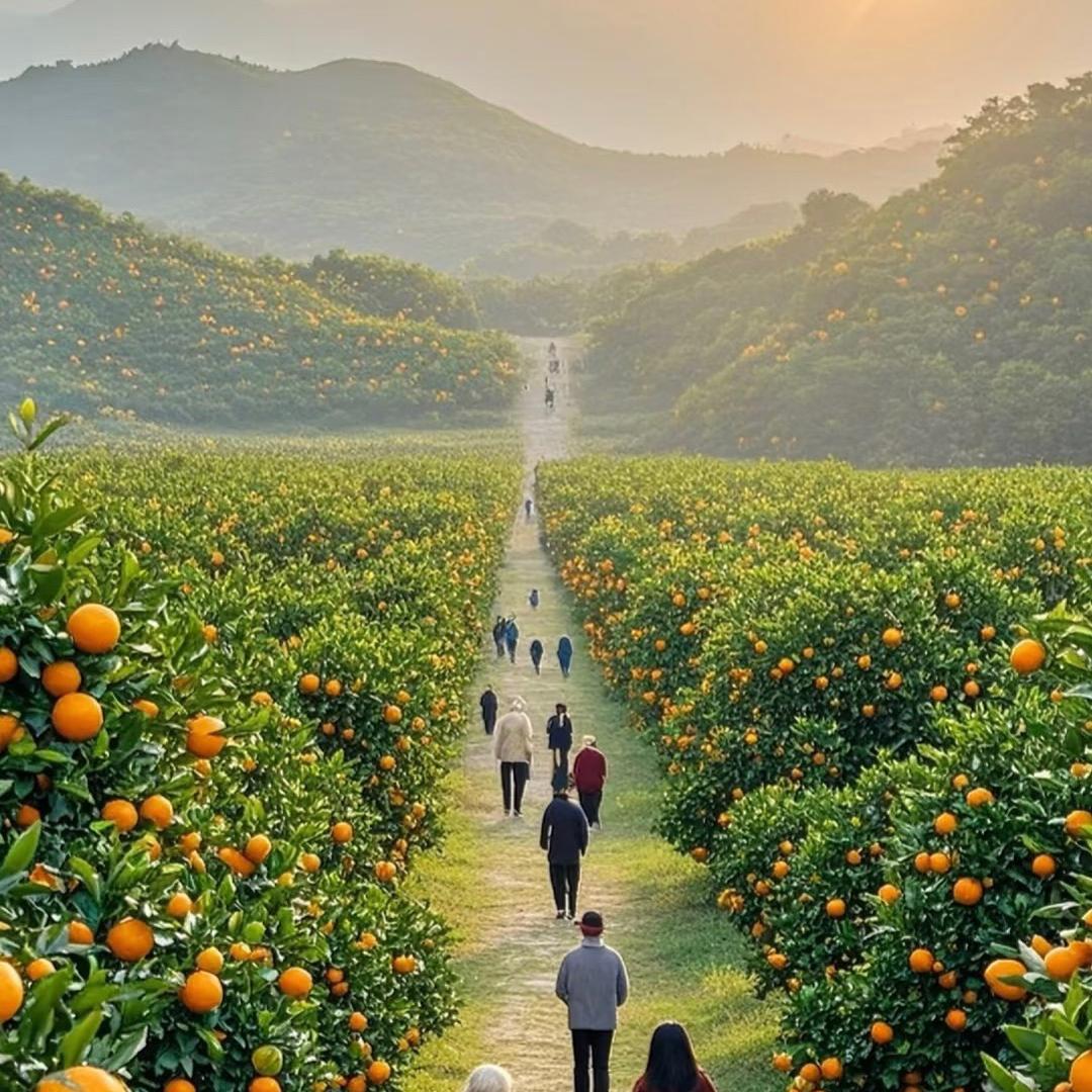 农业种植科讲