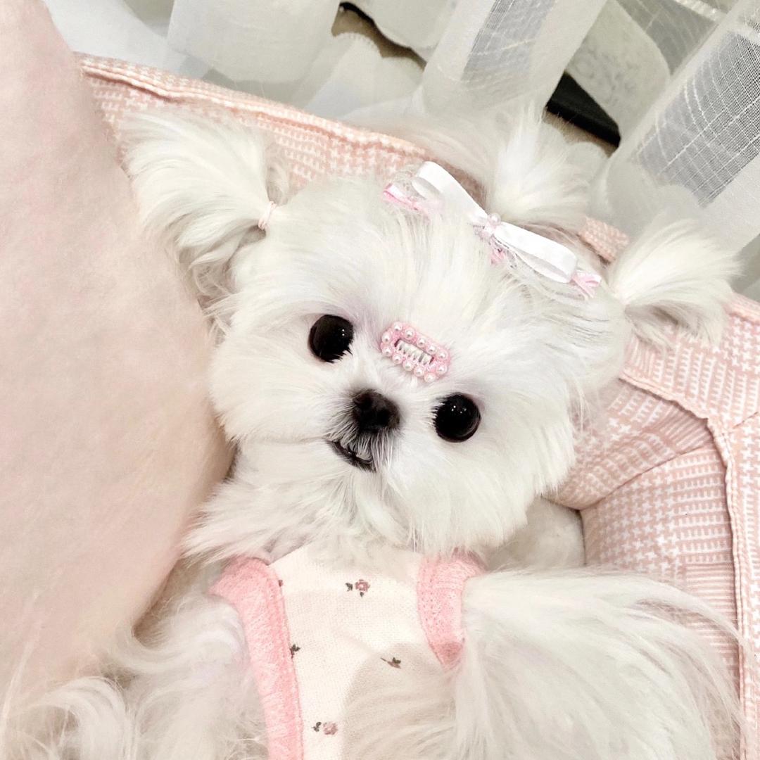 心情不好都怪你