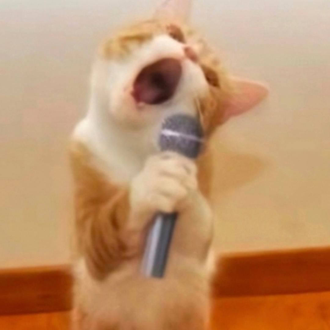 聽風（KTV版～）