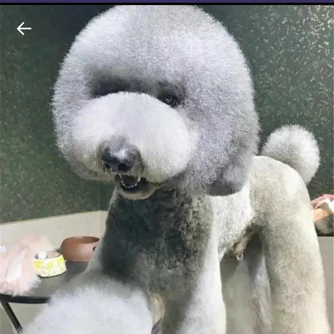 心梦无痕